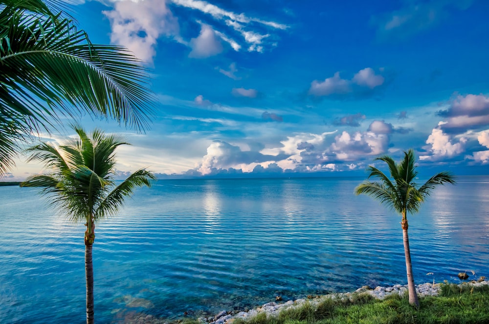 Indigo Reef Resort Villas & Marina by KeysCaribbean - photo 362