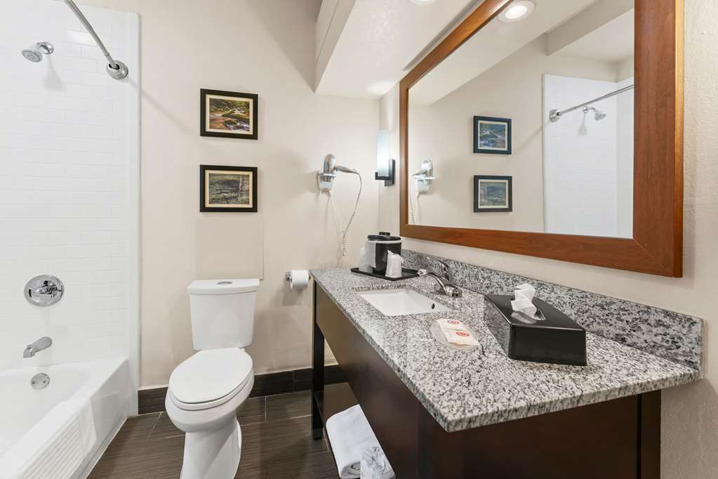 Comfort Inn Lehigh Valley West Allentown - photo 21