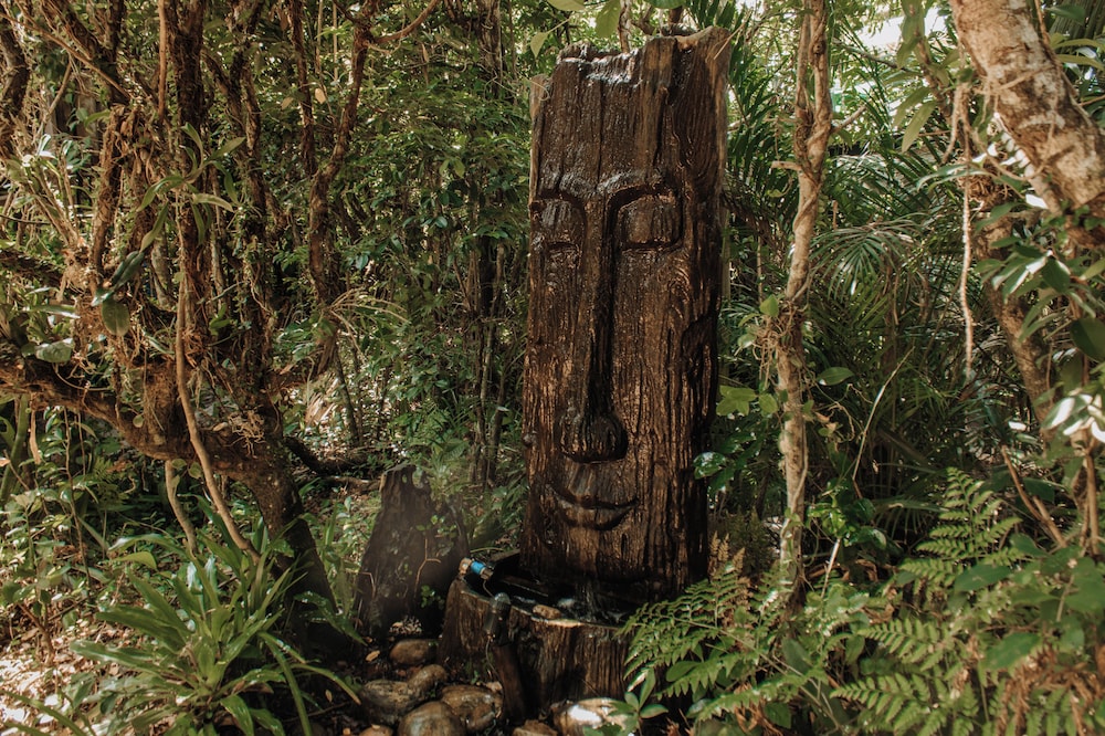 Grajagan Surf Resort in Paranagua, Brasil