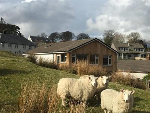 Lyndale in Tobermory, United Kingdom