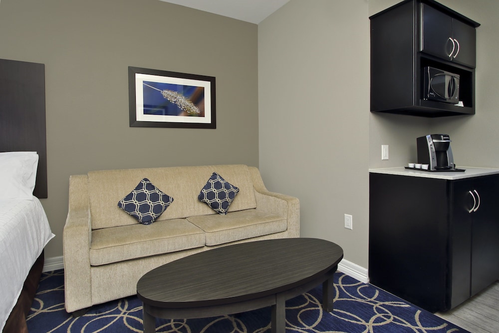 Holiday Inn Express & Suites Houston North IAH Area by IHG - photo 10