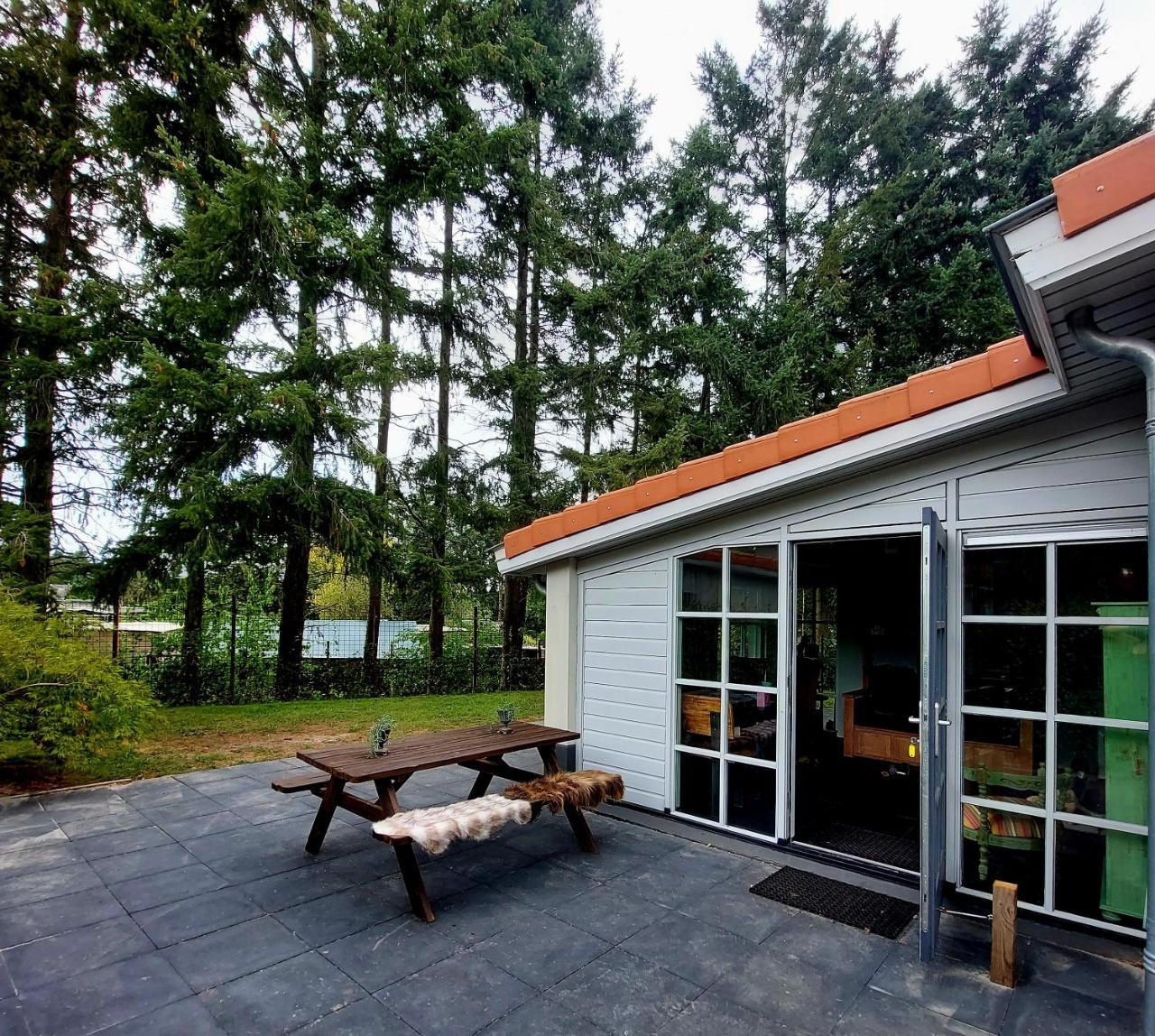 Villa Mar veluwe — Ermelo — photo 5