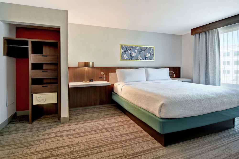 Hilton Garden Inn Houston Galleria Area - photo 14