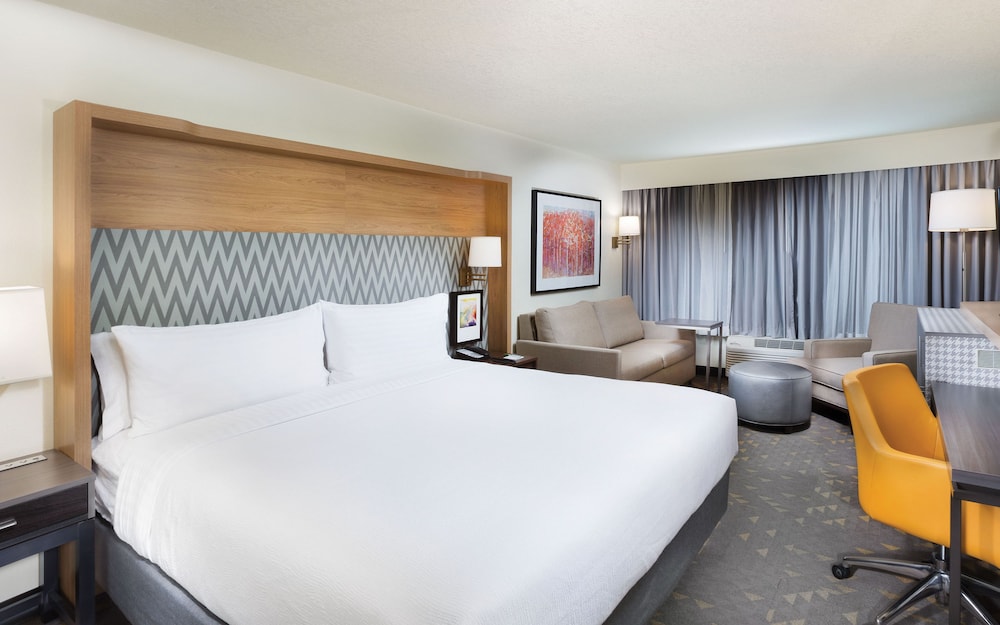 Holiday Inn Asheville East Blue Ridge PKWY an IHG Hotel - photo 3