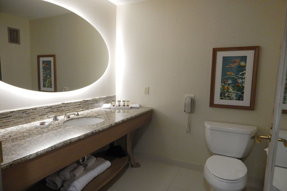 Moody Gardens Hotel Spa and Convention Center - photo 15
