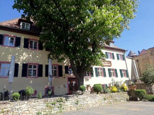 Hotel Am Schloss — Alzey — photo 2