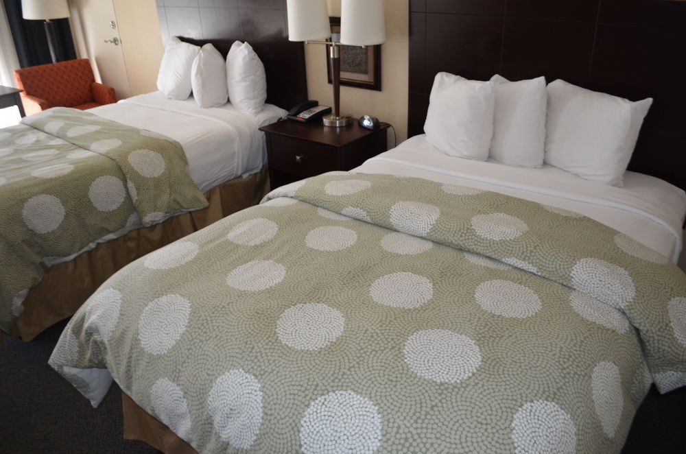 Chapel Hill University Inn - photo 6