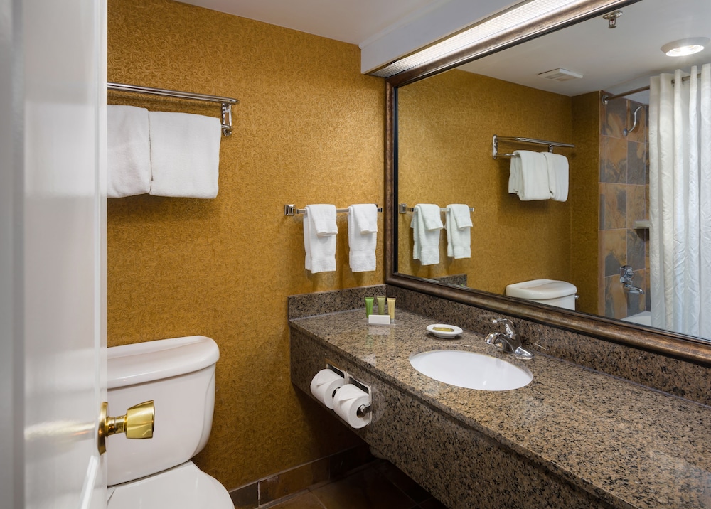 Ramkota Hotel & Conference Center - photo 17