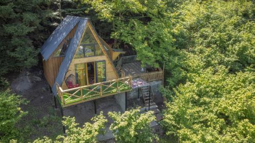 Forest House
