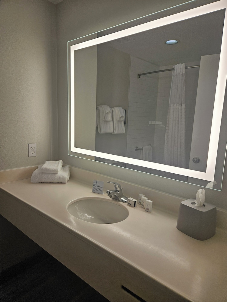 Holiday Inn Express Clermont Se West Orlando - photo 23