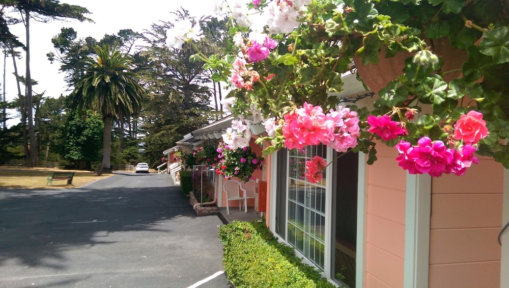 Butterfly Grove Inn - photo 52
