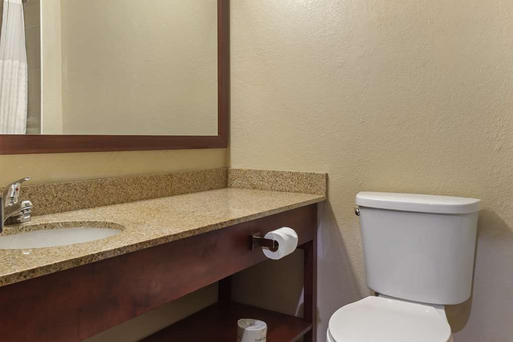Comfort Inn Hobart Merrillville - photo 17