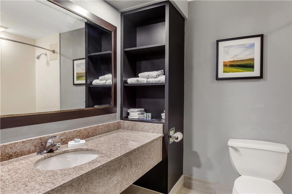 Best Western Rochester Hotel Mayo Clinic Area St. Marys - photo 44