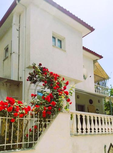 Amalia’s Maisonette — Volos — photo 2