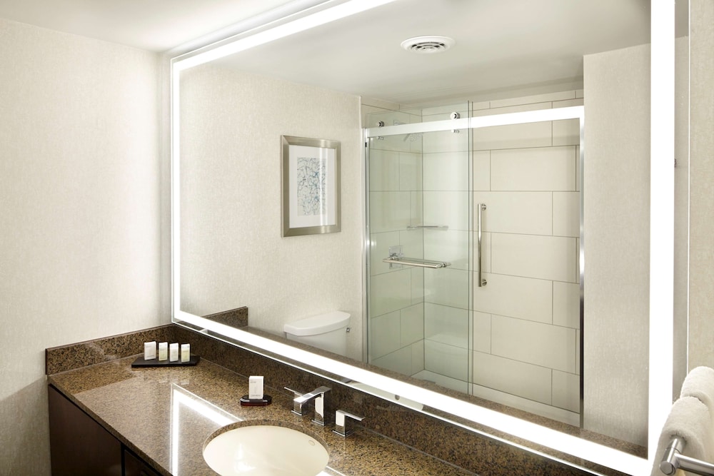 Embassy Suites by Hilton Atlanta Galleria - photo 26