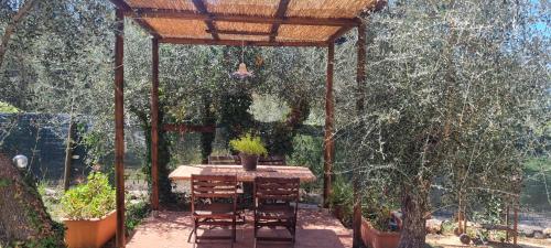 La Merla del Tasso — Camaiore — photo 3