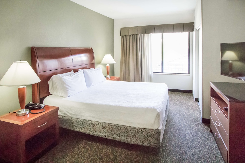 Hilton Garden Inn Avondale - photo 17