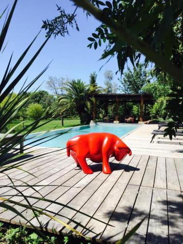 Marais de Capeau - last minute hotel in Arles