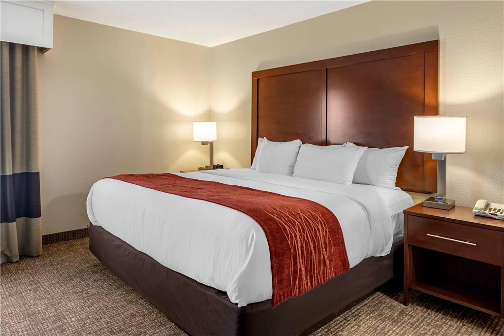 Comfort Inn & Suites Little Rock Airport - photo 18