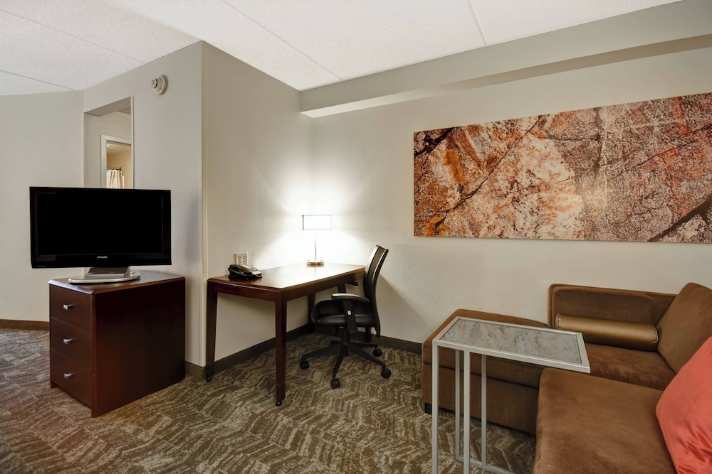 Springhill Suites by Marriott Louisville Airport - photo 22