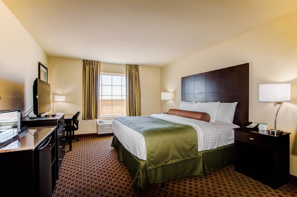Cobblestone Inn & Suites Eads - photo 8