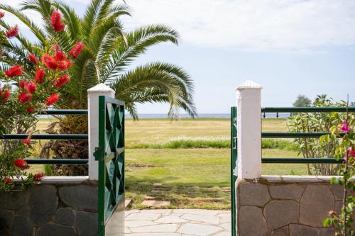Freya Portaria Beach in Nea Moudhania, Greece