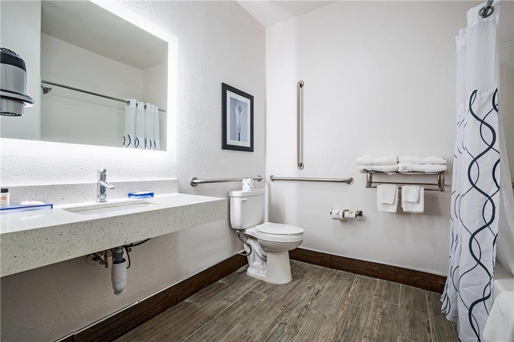 The Leo Collection Detroit an Ascend Collection Hotel - photo 24