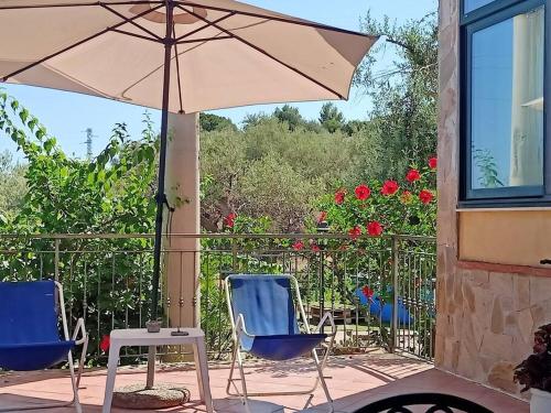 Il giardino degli ulivi in Trabia, Italy