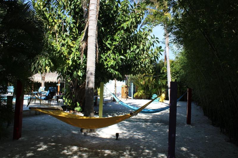 Siesta Key Palms Resort - photo 48