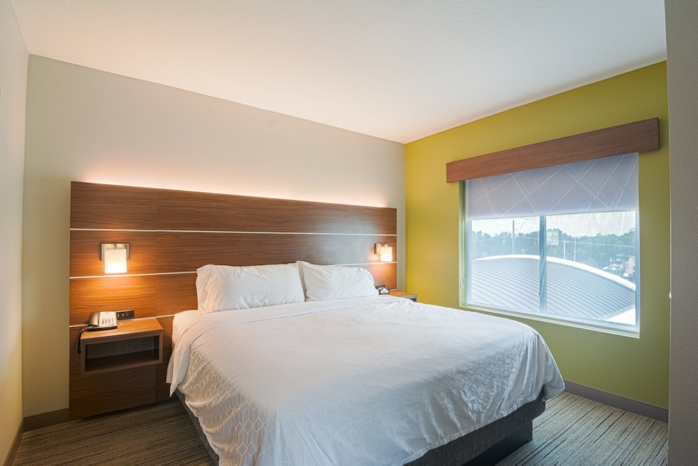 Holiday Inn Express & Suites Tampa USF Busch Gardens by IHG - photo 11