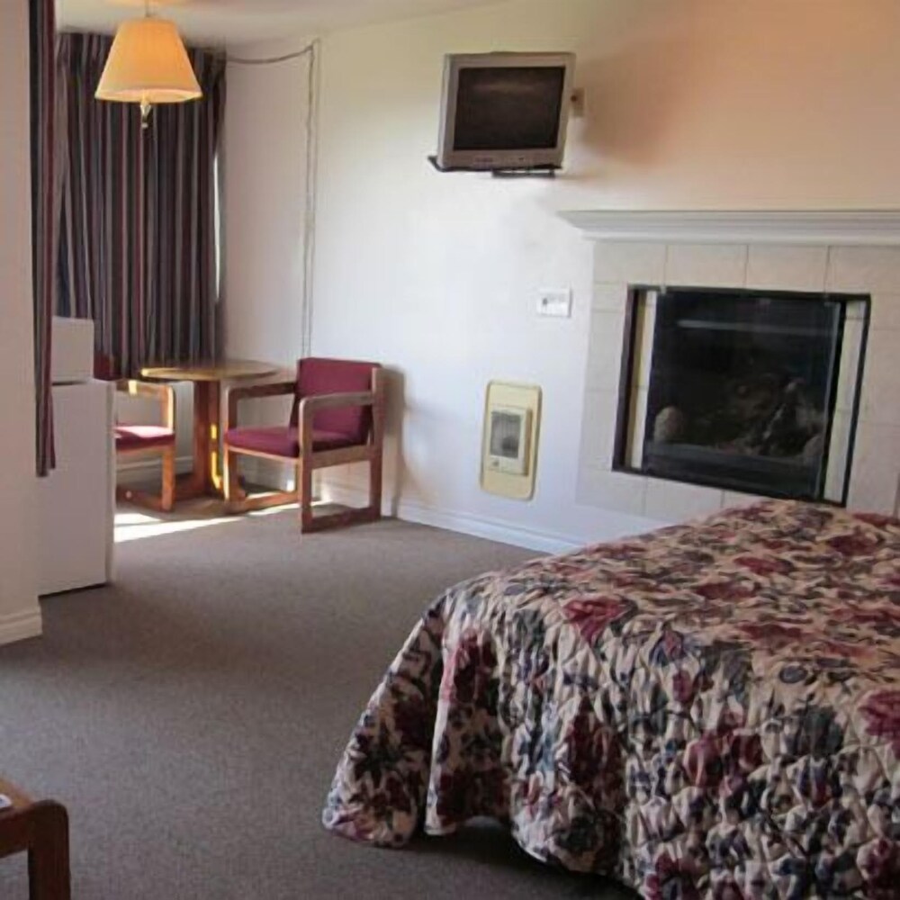 Cozy Cove Beachfront Resort Inn - photo 5
