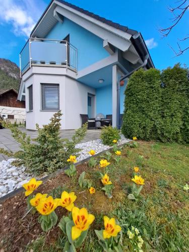 Bella Apartment 20162836 — Zirovnica