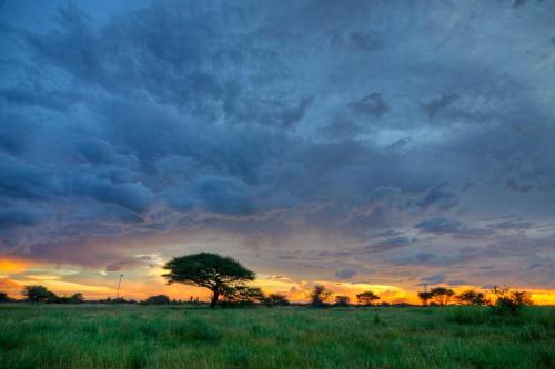 Khoi Khoi Guesthouse — 4-Star Luxury Hotel in Otavi, Namibia