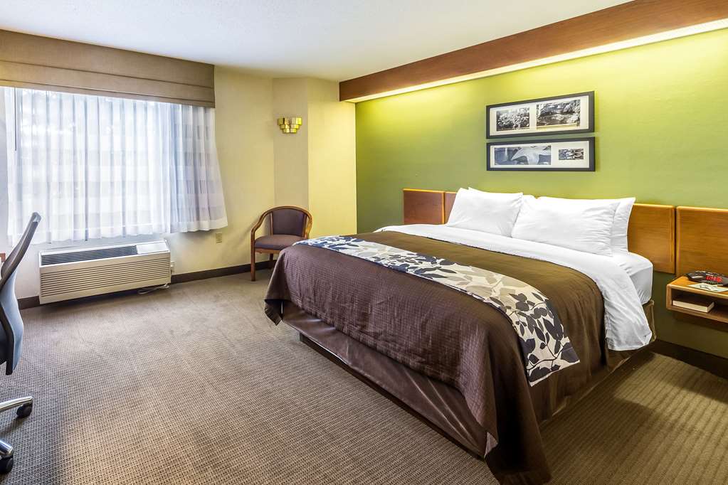 Sleep Inn & Suites Bay View Acme Travers City - photo 11