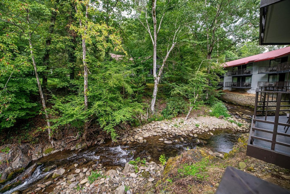 Bear Creek Inn - photo 26