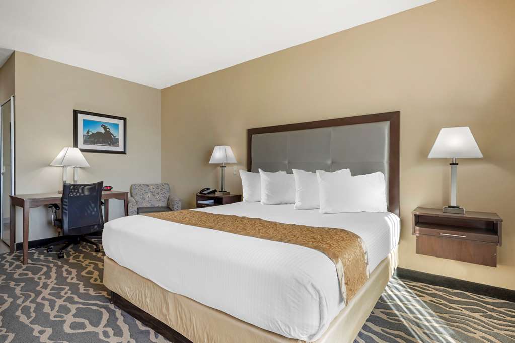 Best Western Plus Fort Stockton Hotel - photo 22