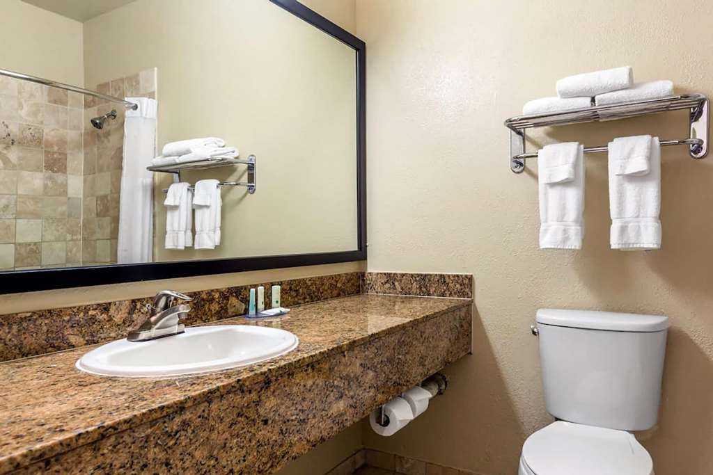 Ramada Suites by Wyndham San Diego - photo 15