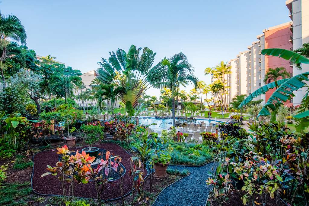 Aston Kaanapali Shores - photo 29