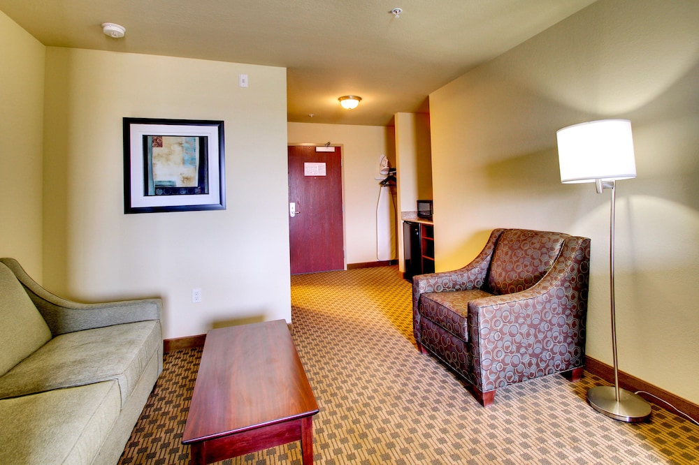 Cobblestone Hotel & Suites Pecos - photo 16