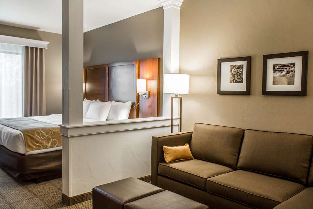 Comfort Suites Hartville North Canton - photo 22