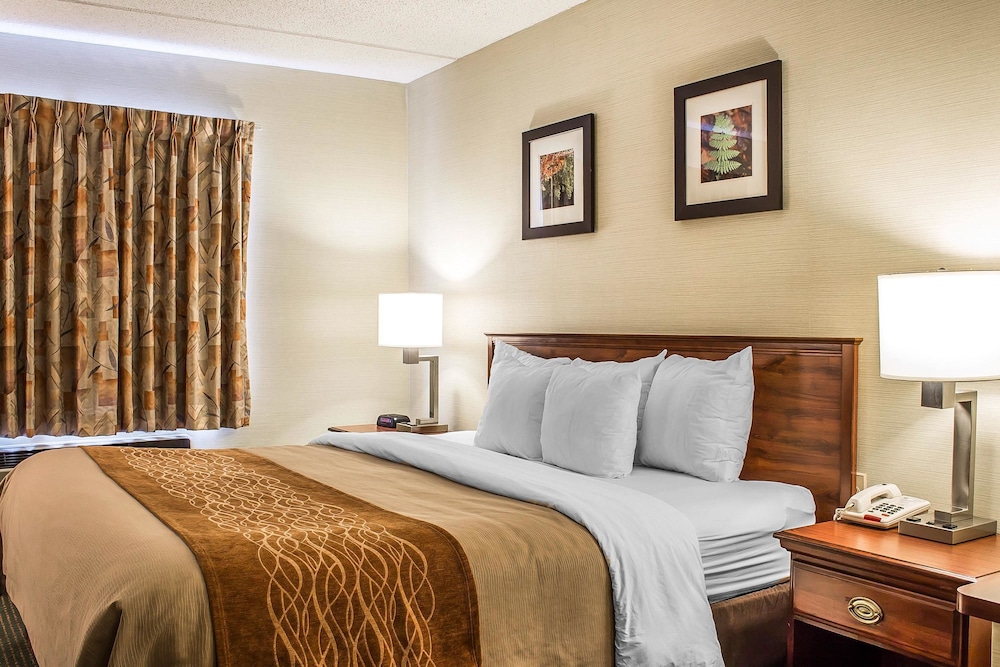 Comfort Inn & Suites Wilkes Barre Arena - photo 12