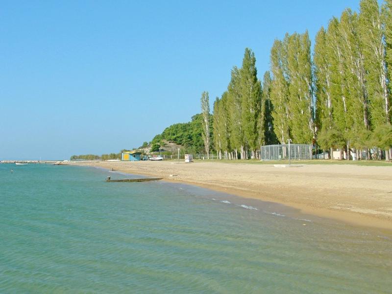 Mladen - last minute hotel in Omis