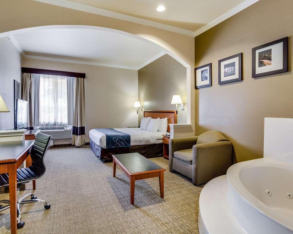 Comfort Suites Deer Park Pasadena - photo 14