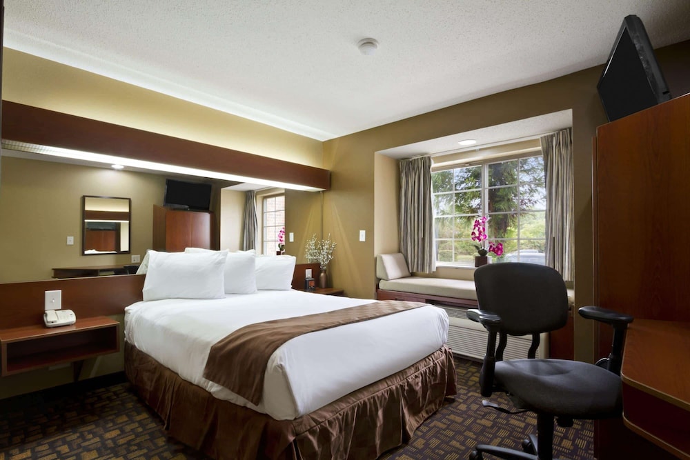 Microtel Inn & Suites by Wyndham Lithonia Stone Mountain - photo 11