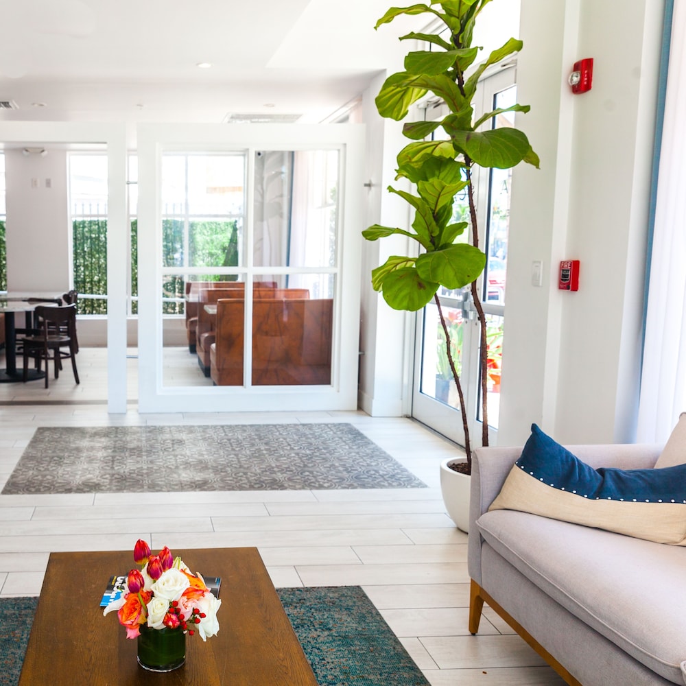 Casa Boutique Hotel - photo 7