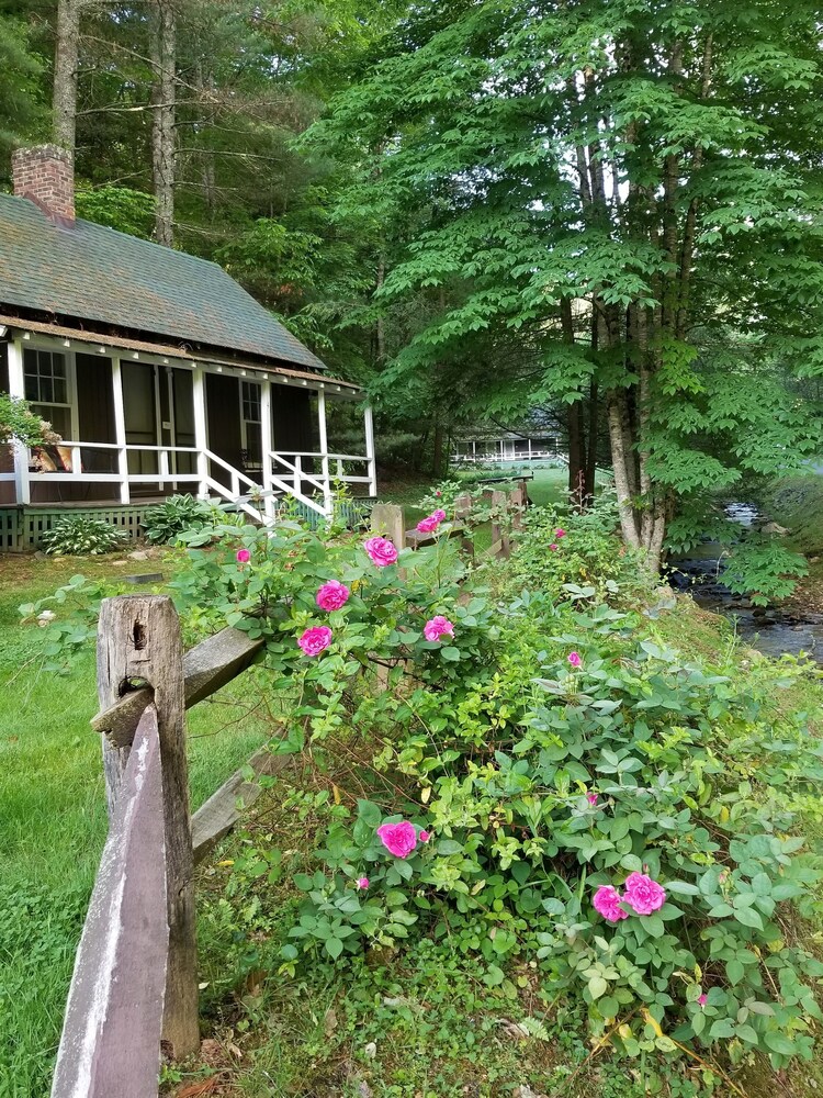 The Cabins at Healing Springs - photo 26
