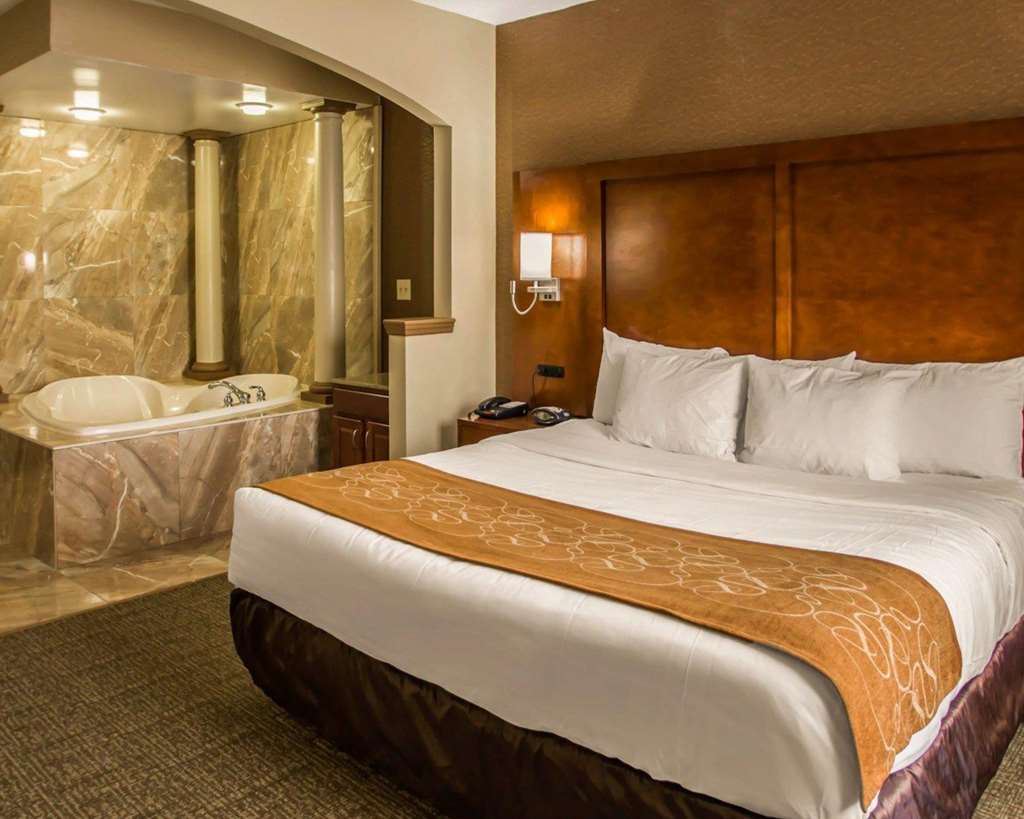 Quality Suites NYC Gateway - photo 19