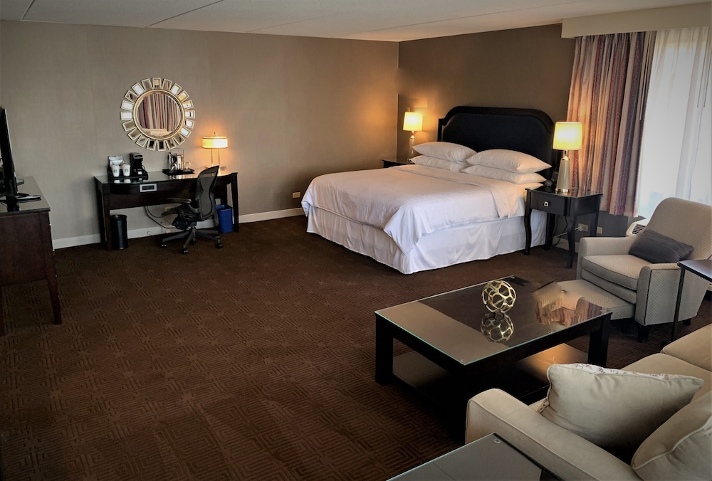 Sheraton Lisle Naperville Hotel - photo 10