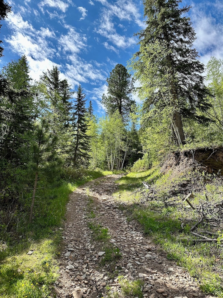 Whitetail Creek Resort - photo 15