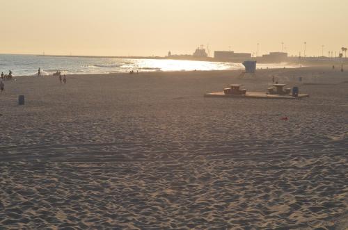 Seaside Inn - photo 11